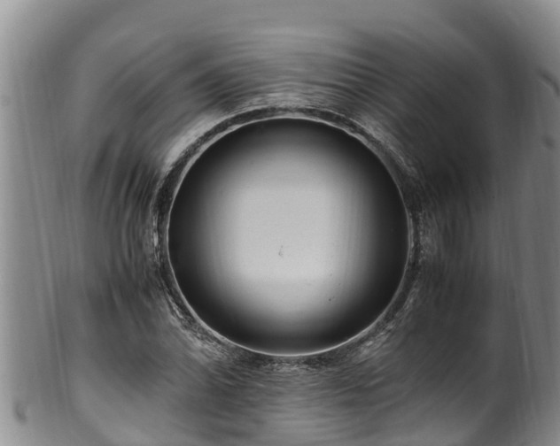 X0000100881070200806271131