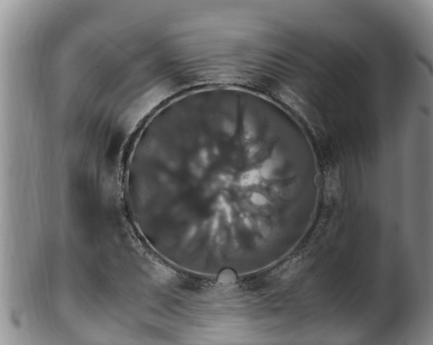 X0000100881071200806271131