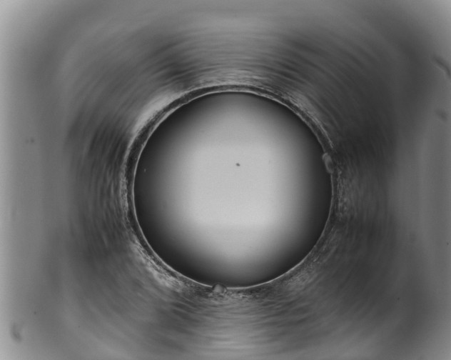 X0000100881072200806271131