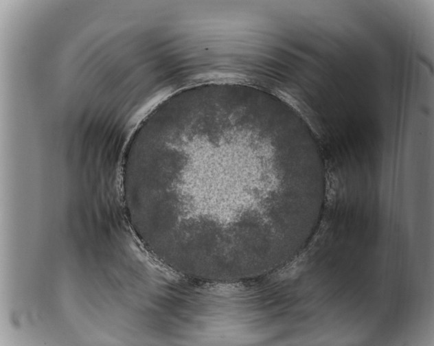 X0000100881074200806271131