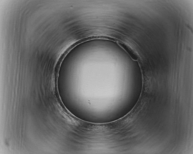 X0000100881076200806271131