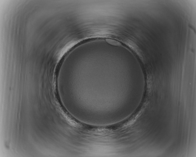 X0000100881077200806271131