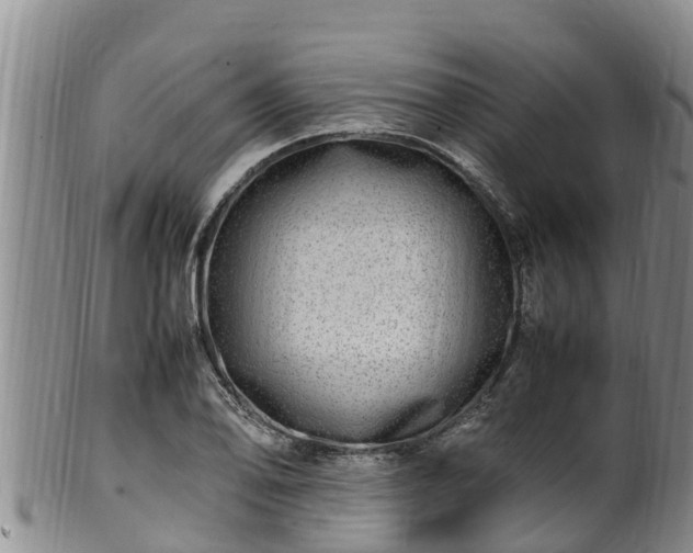 X0000100881078200806271131