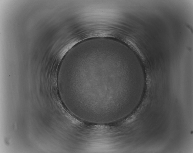 X0000100881081200806271131