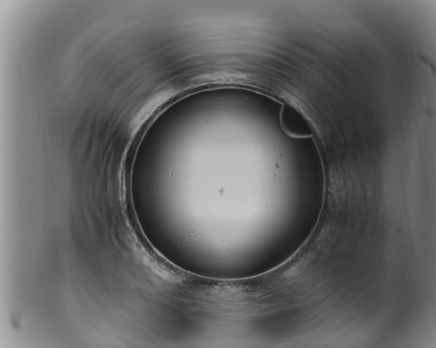 X0000100881082200806271131