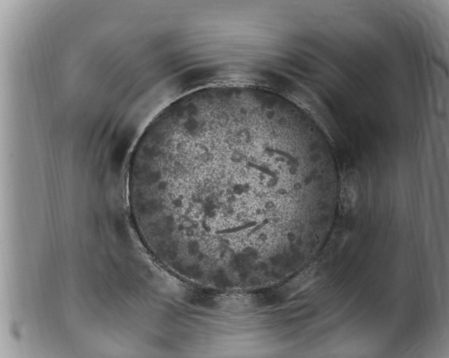 X0000100881083200806271131