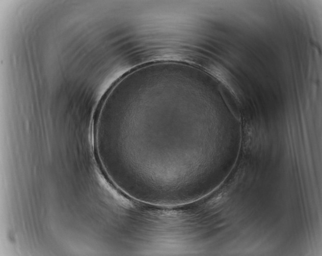 X0000100881084200806271131