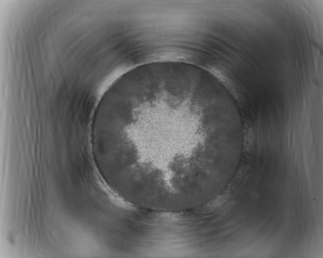 X0000100881086200806271131