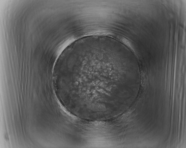 X0000100881087200806271131