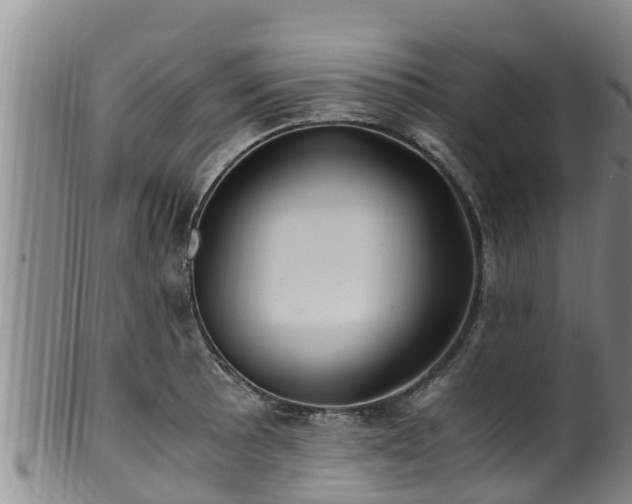 X0000100881089200806271131