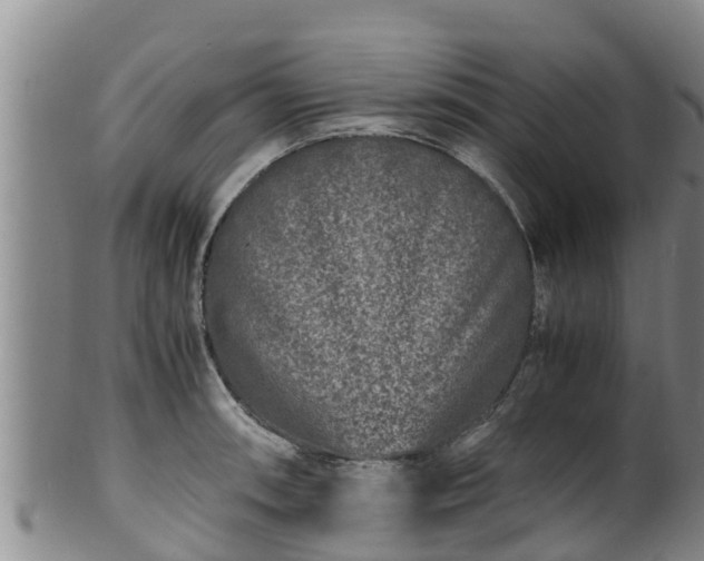 X0000100881090200806271131