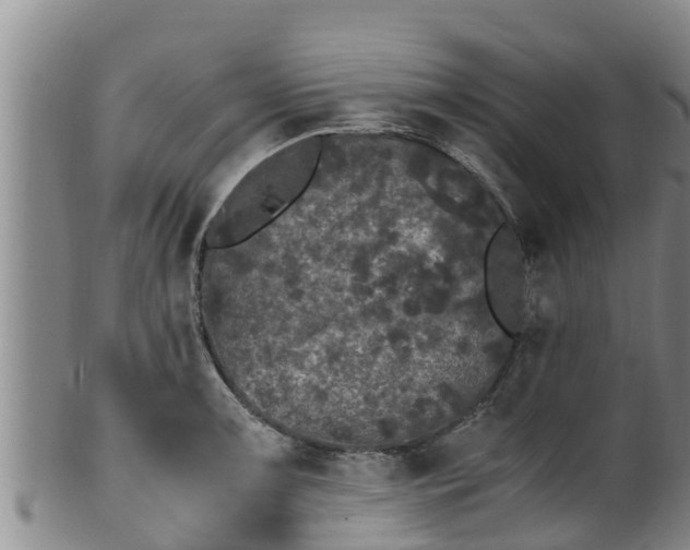 X0000100881091200806271131