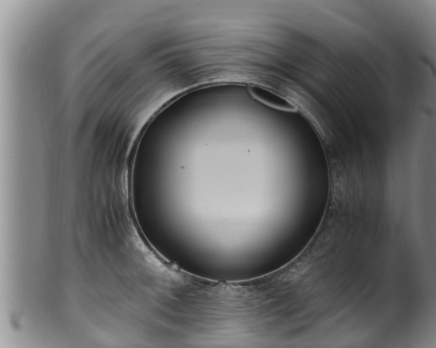 X0000100881092200806271131