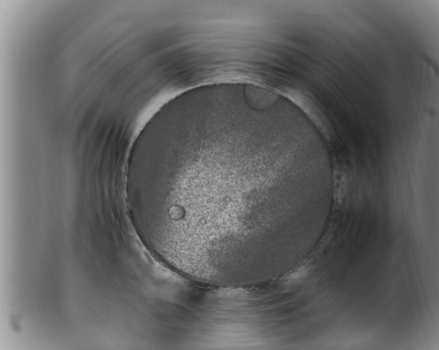 X0000100881094200806271131