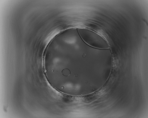 X0000100881095200806271131