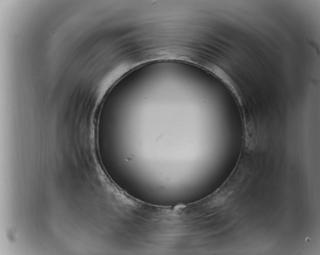 X0000100881096200806271131