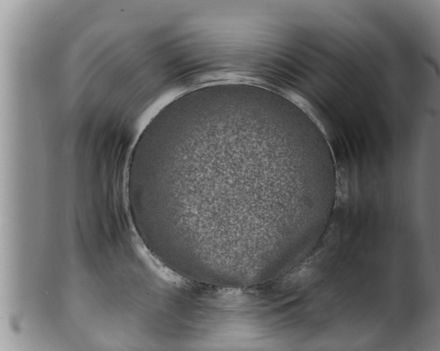 X0000100881098200806271131