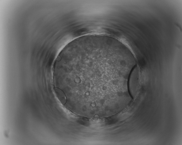 X0000100881099200806271131