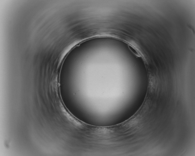 X0000100881100200806271131