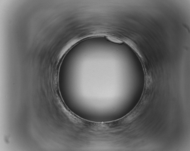 X0000100881101200806271131