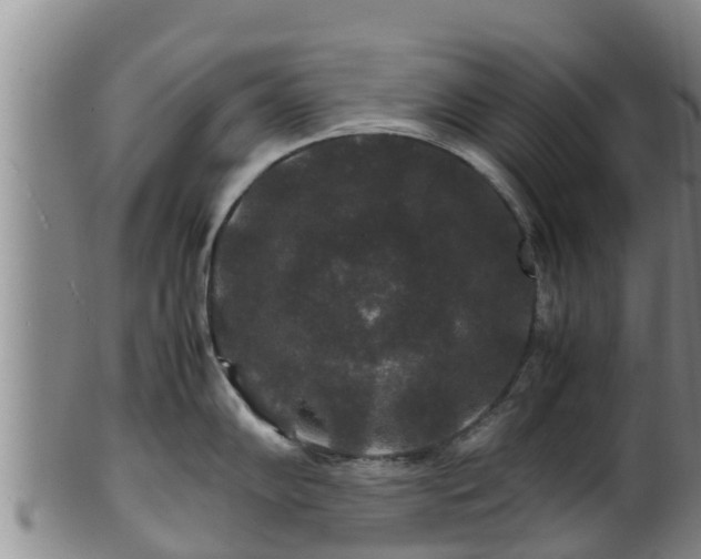 X0000100881102200806271131