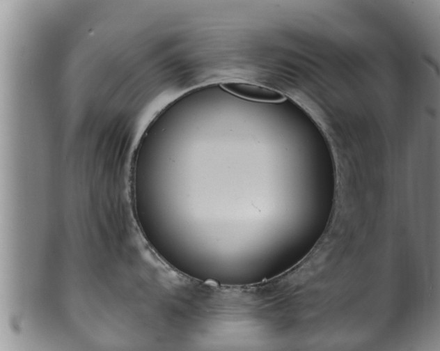 X0000100881104200806271131