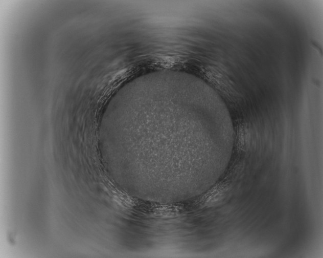 X0000100881105200806271130