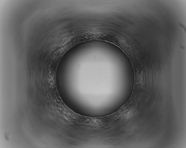 X0000100881109200806271130