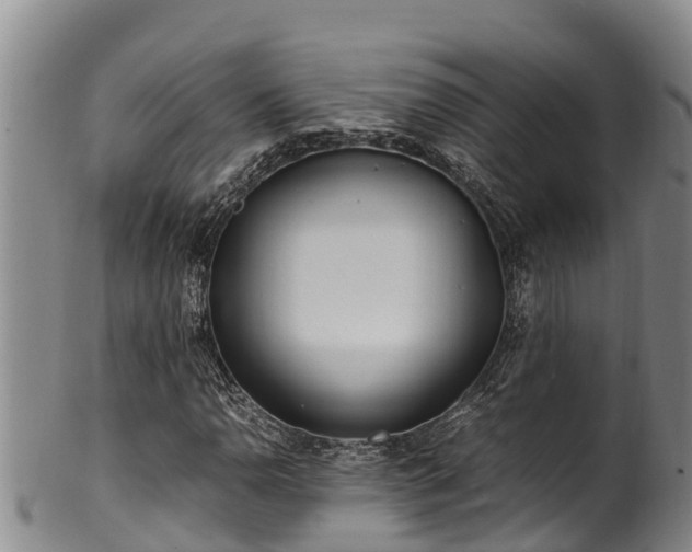 X0000100881110200806271130