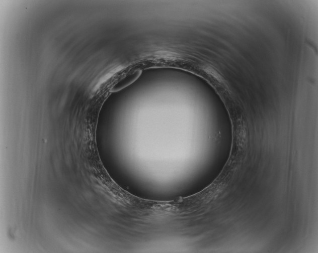 X0000100881112200806271130