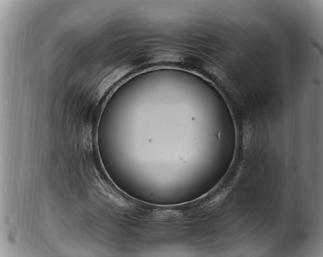 X0000100881113200806271130