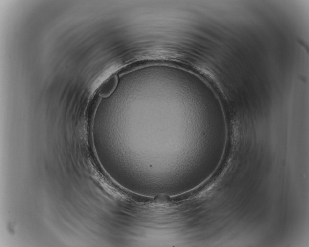 X0000100881114200806271130