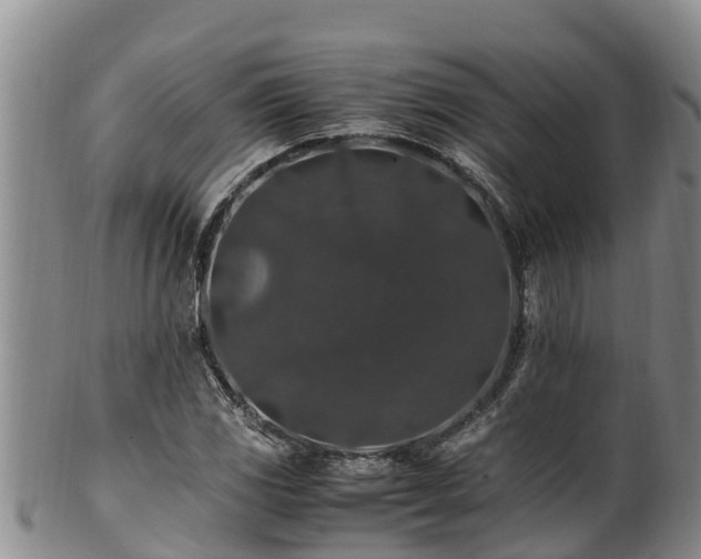 X0000100881117200806271130