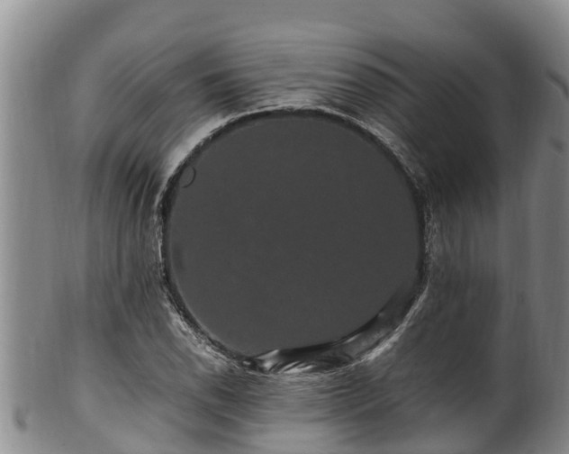 X0000100881118200806271130