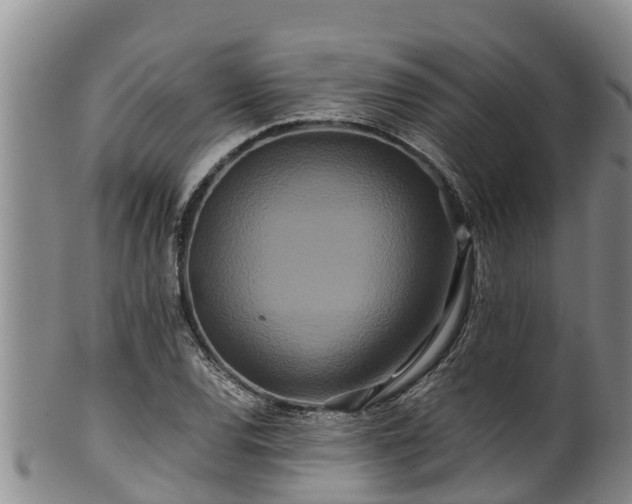 X0000100881120200806271130