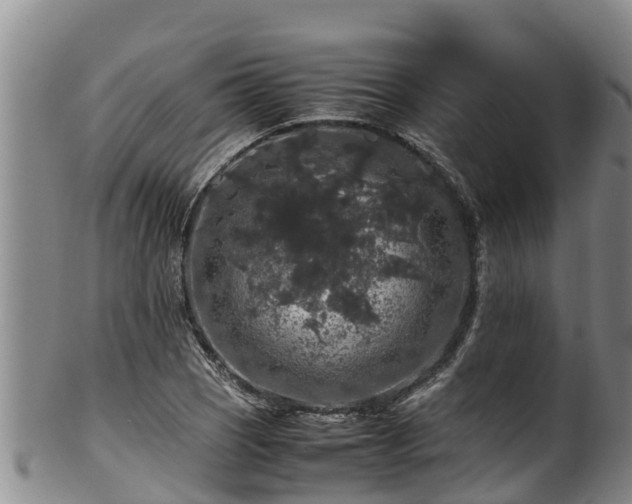 X0000100881121200806271130