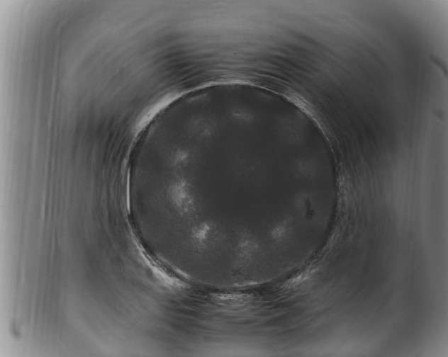 X0000100881127200806271131