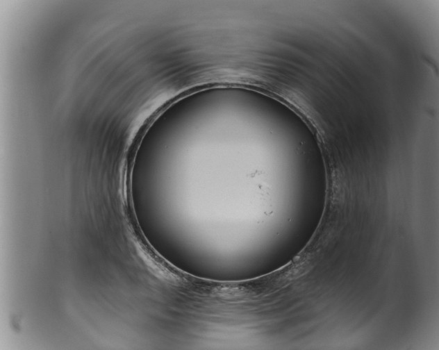 X0000100881128200806271131