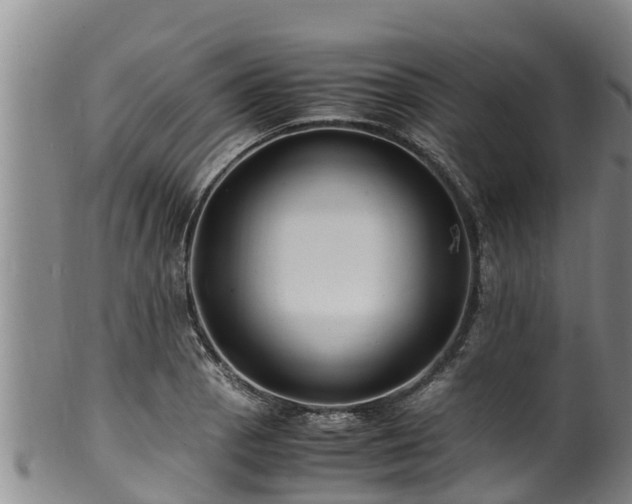 X0000100881129200806271131