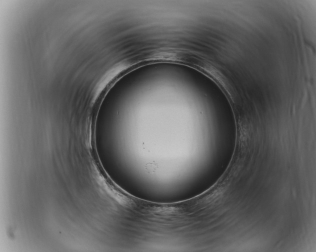 X0000100881131200806271131