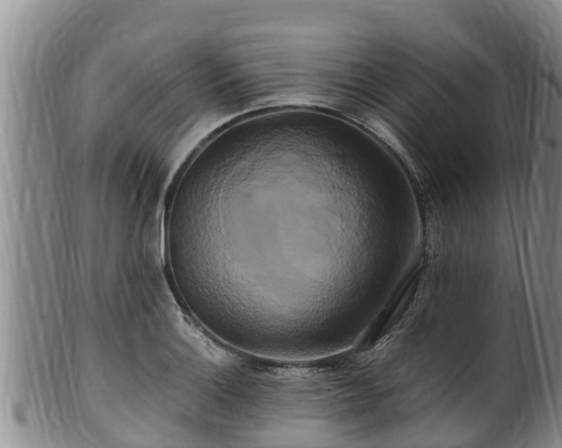 X0000100881132200806271131