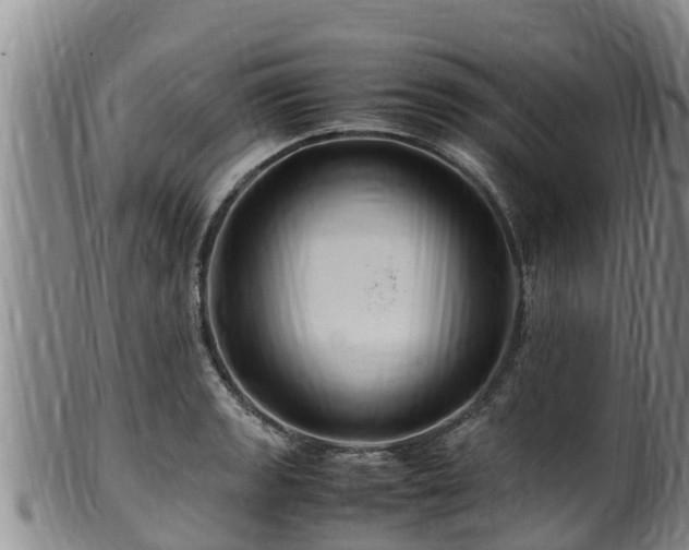 X0000100881133200806271131