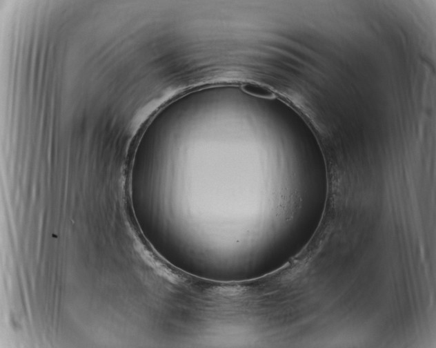 X0000100881134200806271131