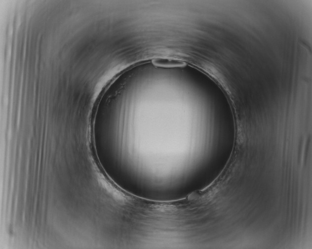 X0000100881136200806271131