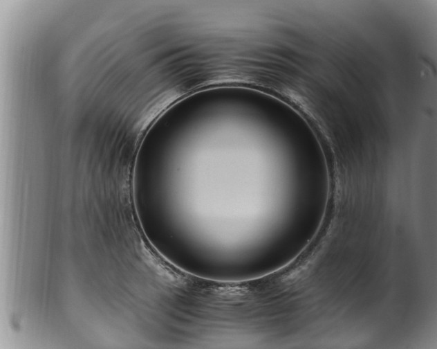 X0000100881137200806271131