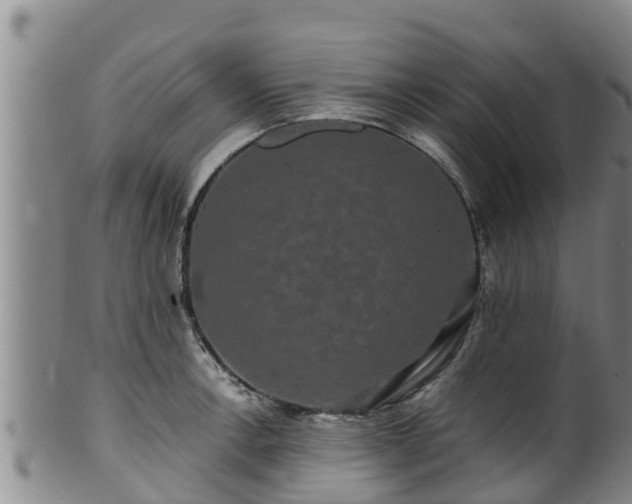 X0000100881138200806271131