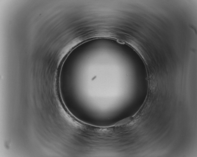 X0000100881139200806271131