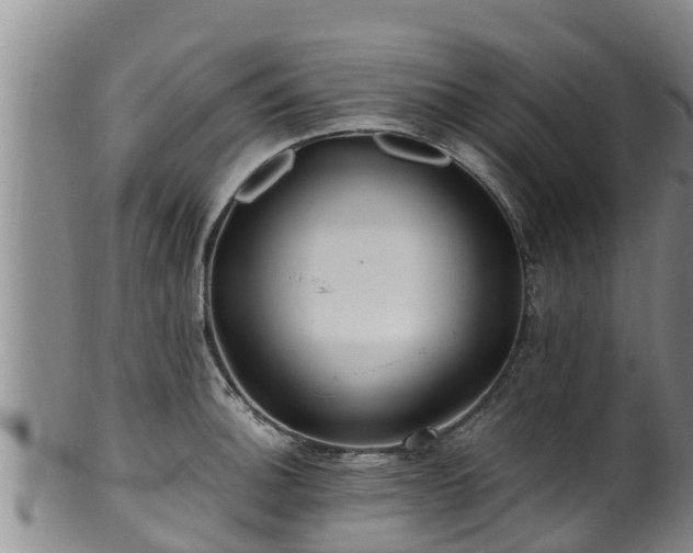 X0000100881140200806271131