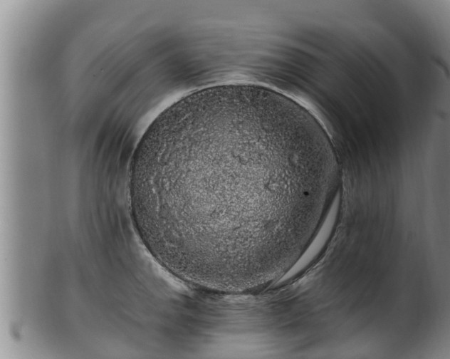 X0000100881142200806271131