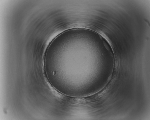 X0000100881144200806271131